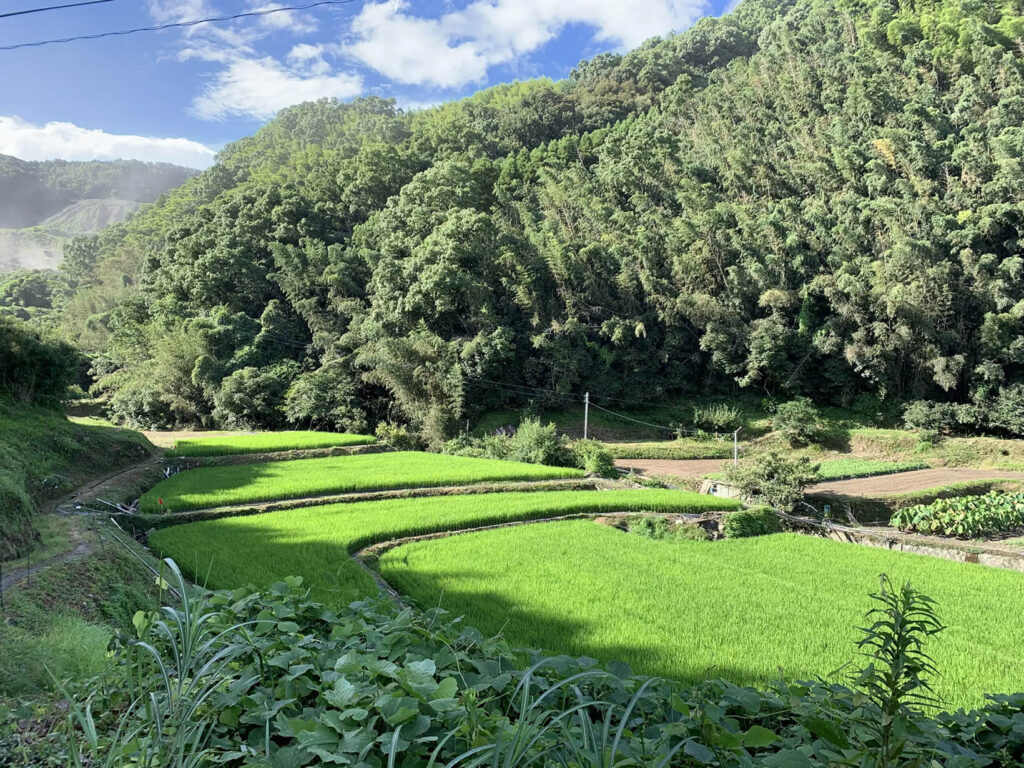 田園